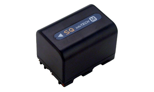 CCD-TRV418E batteri